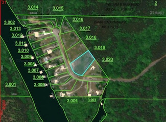 LOT 17 Bankhead Paradise, Arley, AL 35541