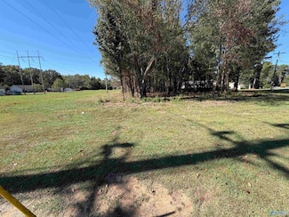 3118 Willow Beach Rd, Guntersville, AL 35976