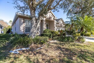 5628 Terrain de Golf Dr, Lutz, FL 33558