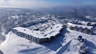 219 Mountain Lodge, Snowshoe, WV 26209