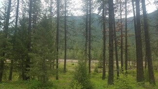 Nhn Donlan Flats Rd, Saint Regis, MT 59866