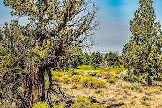 22914 Moss Rock Dr Unit Lot 215, Bend, OR 97701
