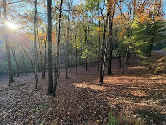 Lot 12A Oak Loop, Mineral Bluff, GA 30559