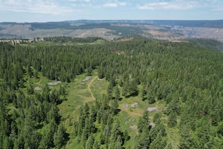 0 Sickfoot Rd Unit 24014407, Wallowa, OR 97885