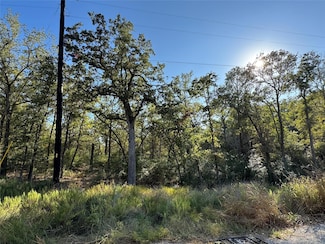 0000 Wailupe Cir, Bastrop, TX 78602