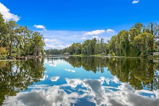 19116 Forrest Dr, Odessa, FL 33556