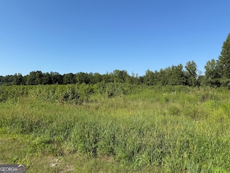 0 Highway 113 Unit 10586141, Temple, GA 30179