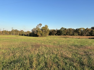 0 Hanestown Rd, Lafayette, TN 37083