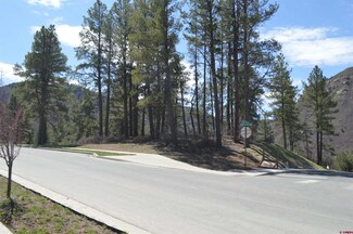 17 Wild Chives Court (Lot 118), Durango, CO 81301