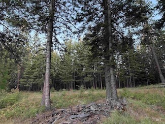 TBD, Asotin, WA 99402