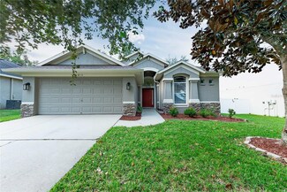 1413 Main St, Valrico, FL 33594