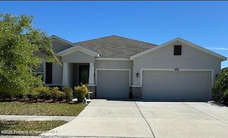 32054 Goddard Dr, Wesley Chapel, FL 33543