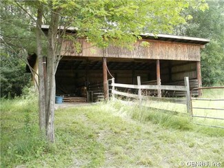 0 Dombroski Rd Unit R256146, Barrington, NY 14837