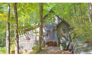 6976 Cashes Valley Rd, Cherry Log, GA 30522