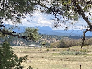 TBD Willow Way Tr 3-7, Chama, NM 87520