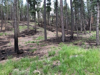 Lot 71 Pendaries Village Subdivision 4-2 Extension, Rociada, NM 87742