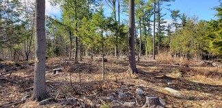 Lot #46 Davenport Hill Rd, Jay, ME 04239