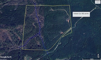 0 County Road 12 Unit 23179068, Talbotton, GA 31827