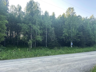 L 7 Wapiti, Nikiski/North Kenai, AK 99635