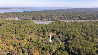 14 Maggie Lawnton Ln, Lady's Island, SC 29907