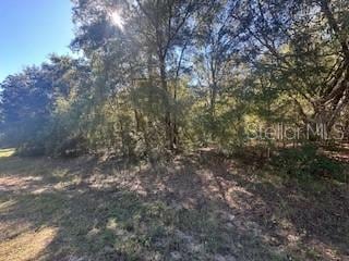 10012 N Athenia Dr, Citrus Springs, FL 34434