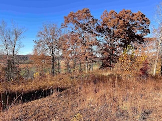 0 Sleepy Hollow 8 49 Acres Unit 59746, Grayson, KY 41143