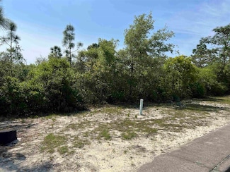 146 Anhinga Trail, Carrabelle, FL 32322