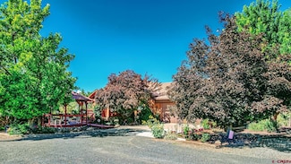 16113 Bull Mesa Rd, Cedaredge, CO 81413