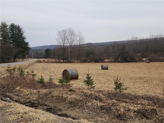 8372 Rush Creek Rd, Caneadea, NY 14717