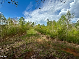 19/Ac Tbd Edith Gouge Rd, Unicoi, TN 37692
