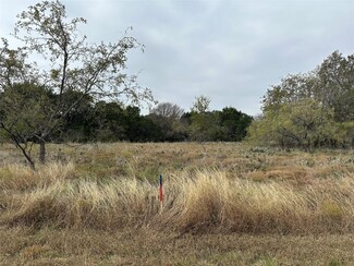 14063 Sandy Oaks Dr, Whitney, TX 76692