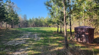 0 California Woods Rd, Omaha, GA 31821