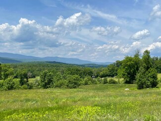 1751 Under the Mountain Rd, South Londonderry, VT 05155