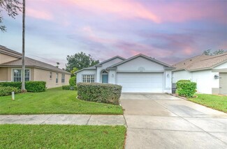 3303 Stonebridge Trail, Valrico, FL 33596
