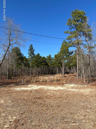 176 Lonnie, Rockingham, NC 28379