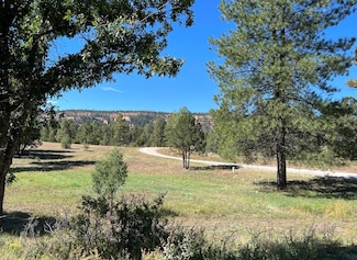 Lot 18 Quail, Ramah, NM 87321