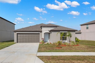 13641 Wild Ginger St, Riverview, FL 33579