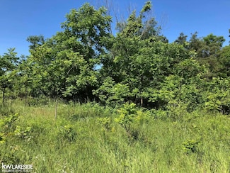 Vacant 31 Mile Rd, Washington, MI 48095