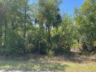 23485 Branch Ave, Port Charlotte, FL 33980