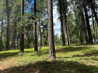 27460 State Highway 88, Pioneer, CA 95666