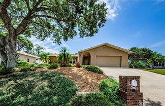 2117 Swan Ln, Safety Harbor, FL 34695