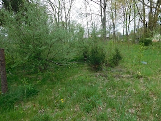 627 E Saint Joseph St, Paw Paw, MI 49079