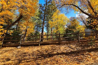 0 Ford Ln Unit 32405957, Big Bear Lake, CA 92315