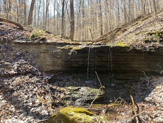 0 Anderson Rd, Pegram, TN 37143