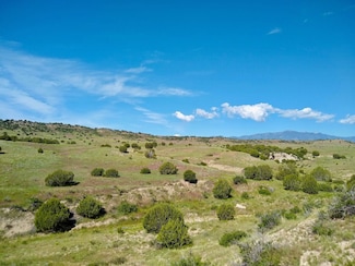 Tbd County 113 Ln, Rye, CO 81069