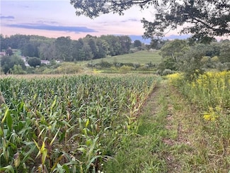 Lot #1 Saxonburg Rd, Butler Township, PA 16002