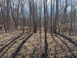 0 Davidson Dr Unit 234854, Monterey, TN 38574