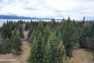 32831 Puzzlz Cir, Homer, AK 99603