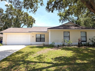 4139 Yellowwood Dr, Valrico, FL 33594