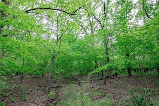 0 Highway 221 Unit MAR25027903, Ironton, MO 63650